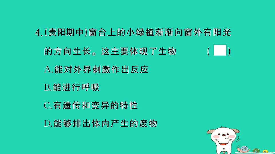 17361826第5页