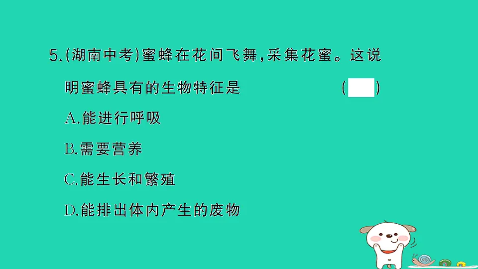 17361826第6页