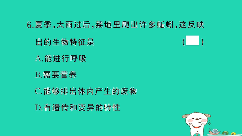 17361826第7页