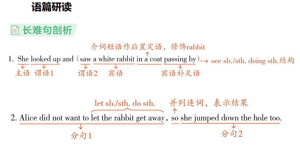 17361885第3页