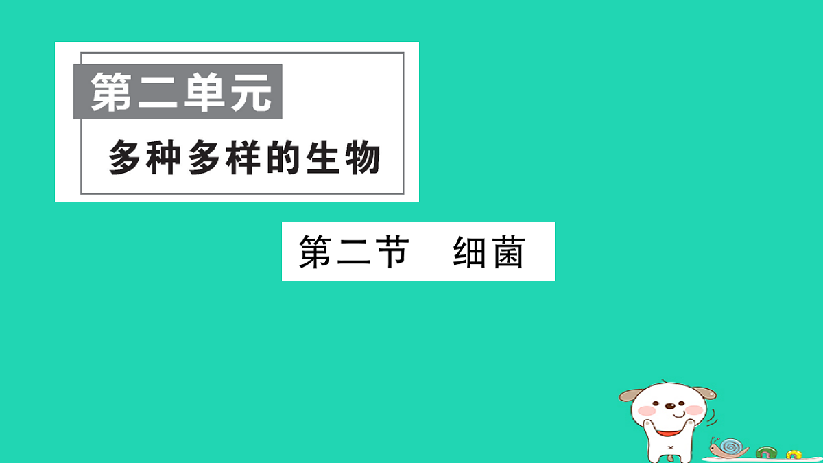 17361906第1页