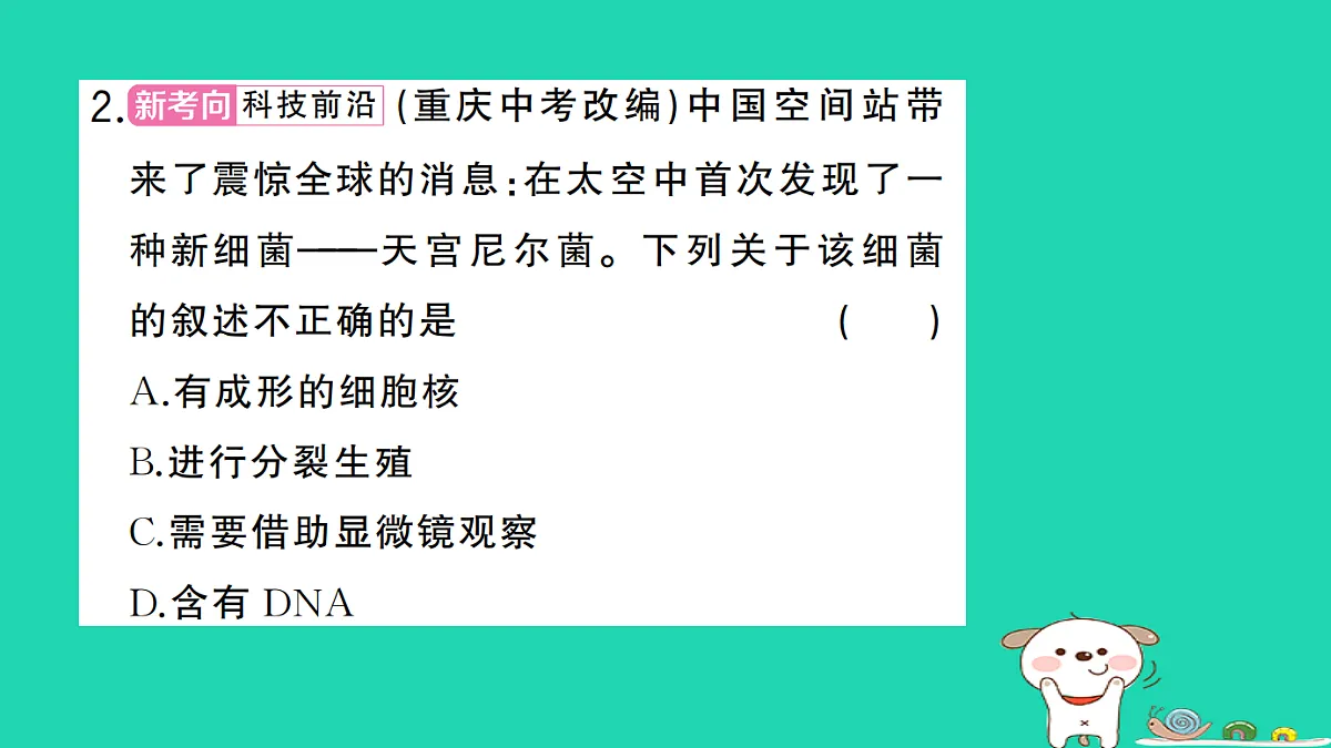 17361906第3页