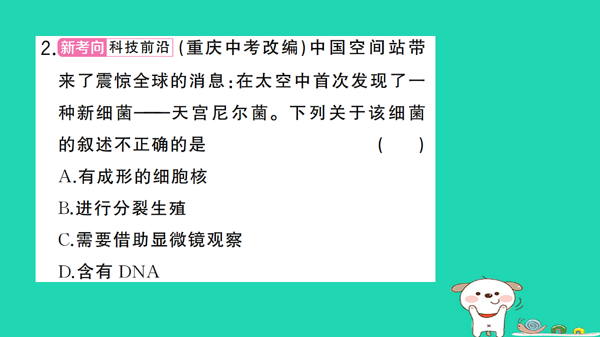 17361906第3页