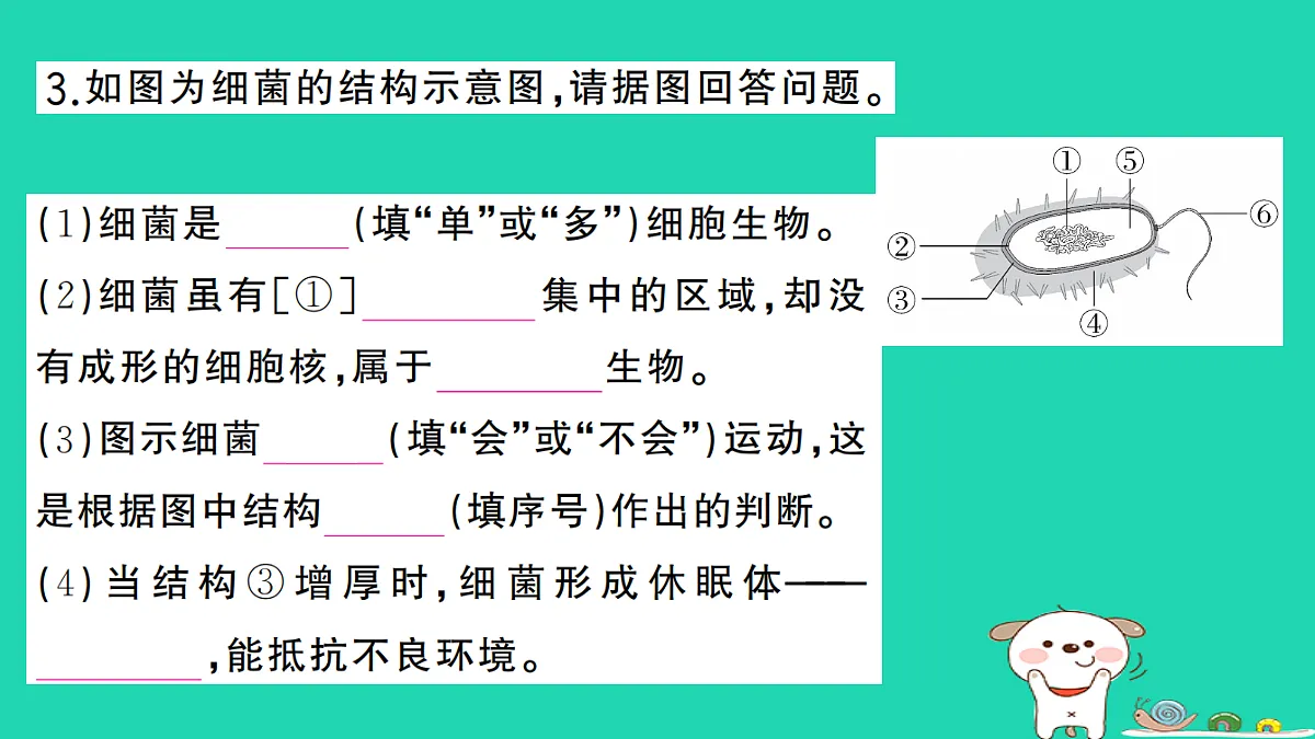 17361906第4页