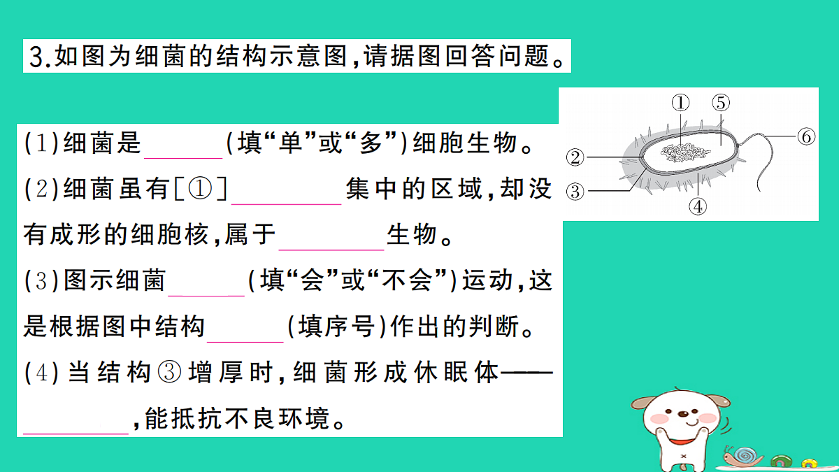 17361906第4页