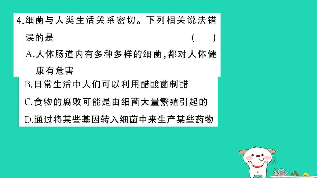 17361906第5页