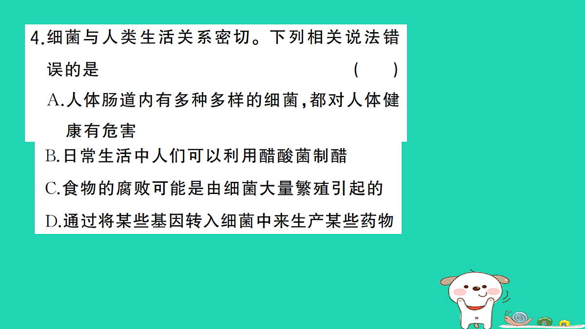 17361906第5页