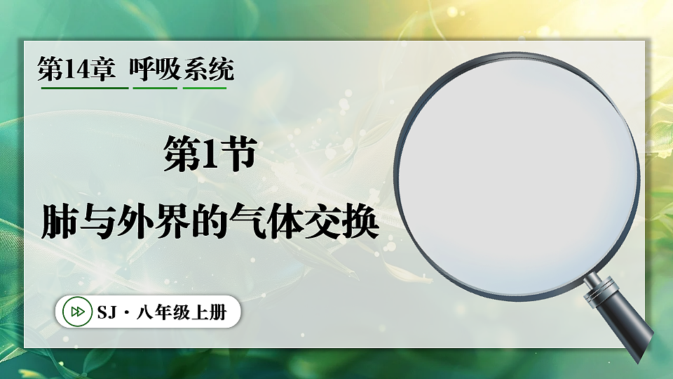 17362037第1页
