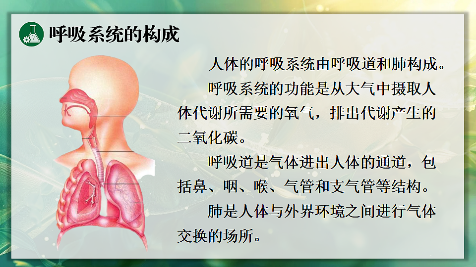 17362037第5页