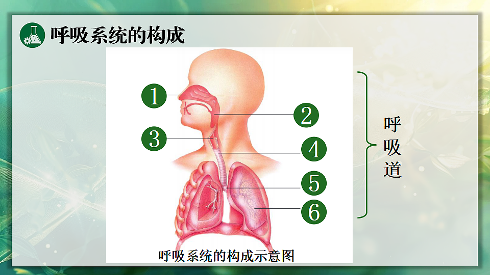 17362037第6页