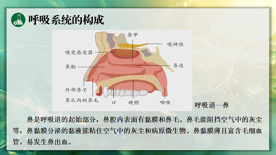 17362037第7页