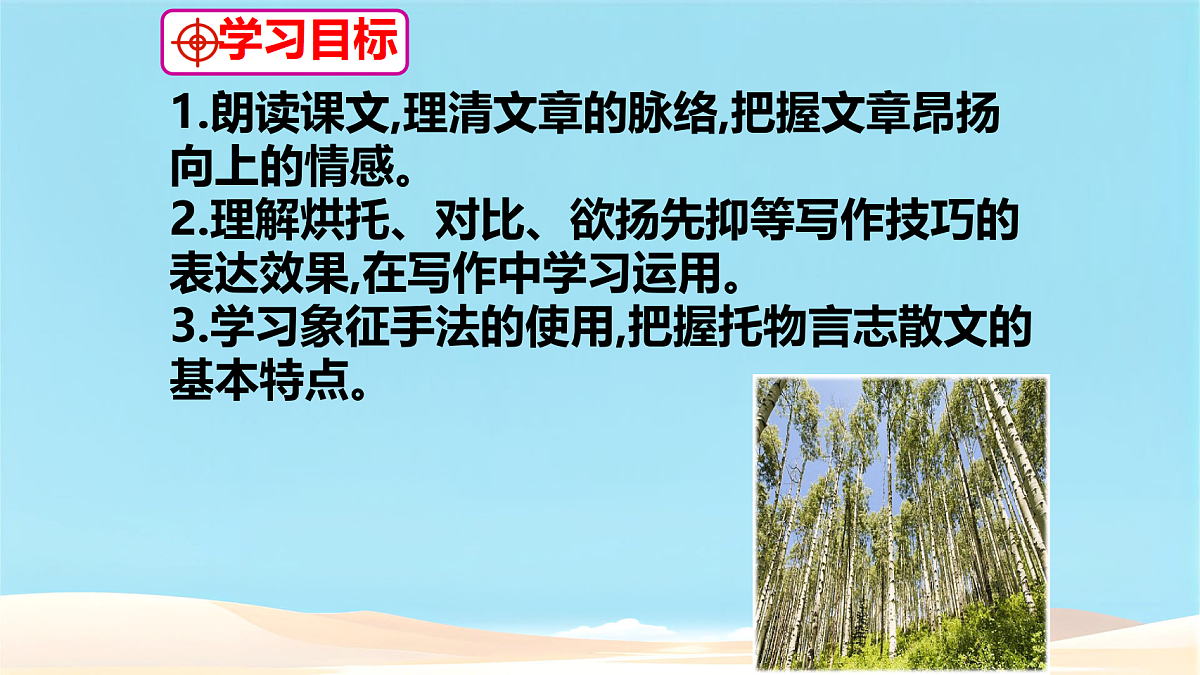 17362101第3页