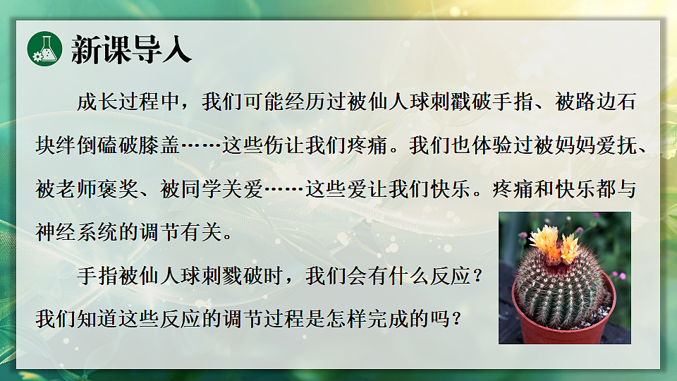 17362115第3页