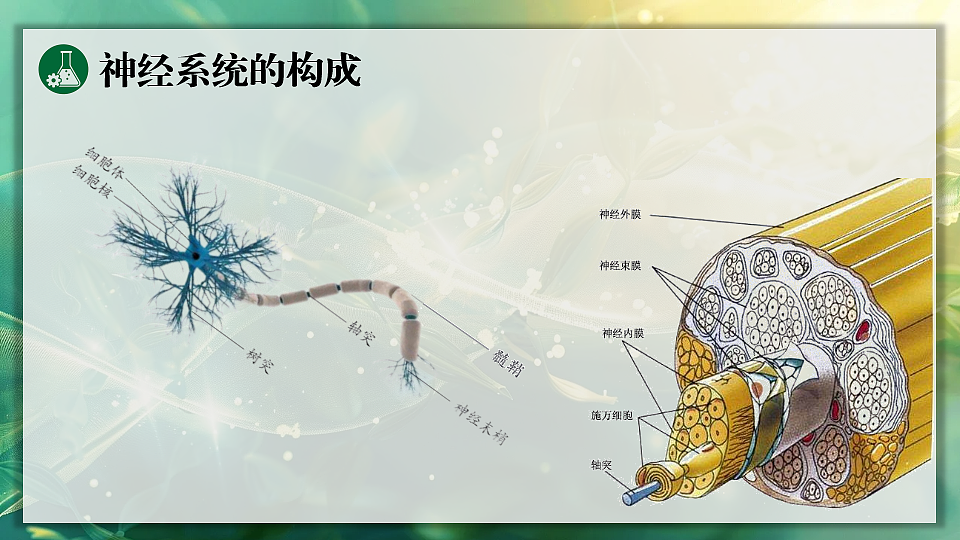 17362115第7页