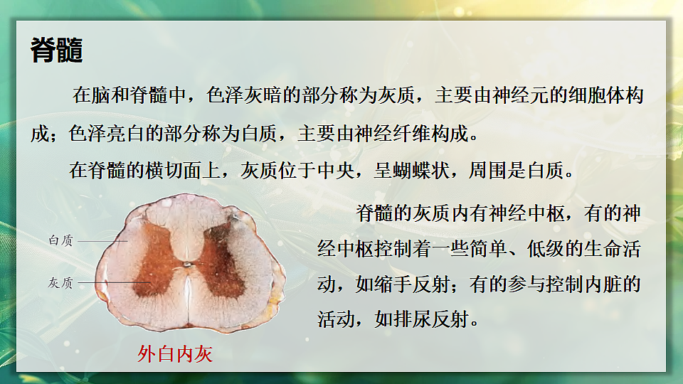 17362115第8页