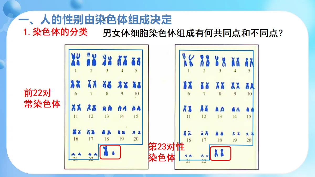 17362173第3页