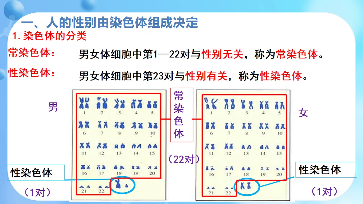 17362173第4页