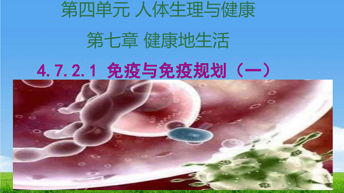 17362551第1页