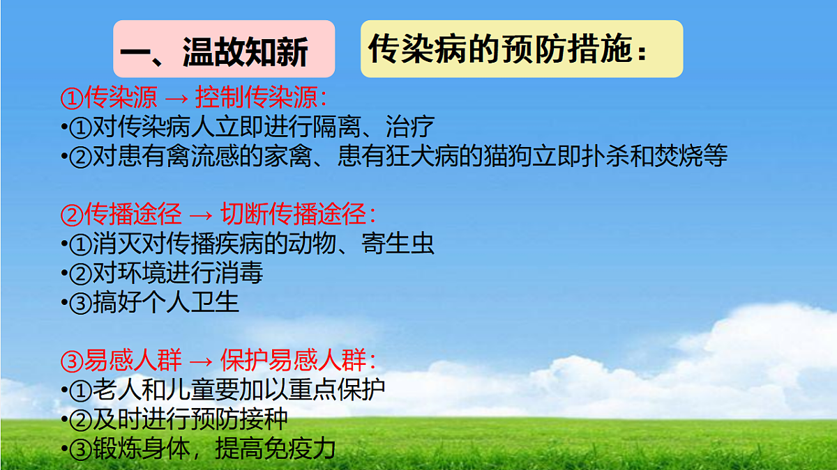 17362551第2页