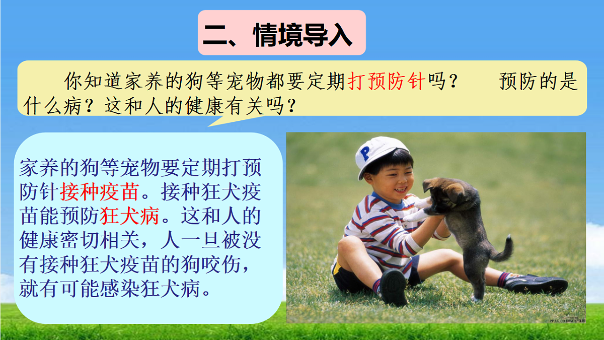 17362551第3页