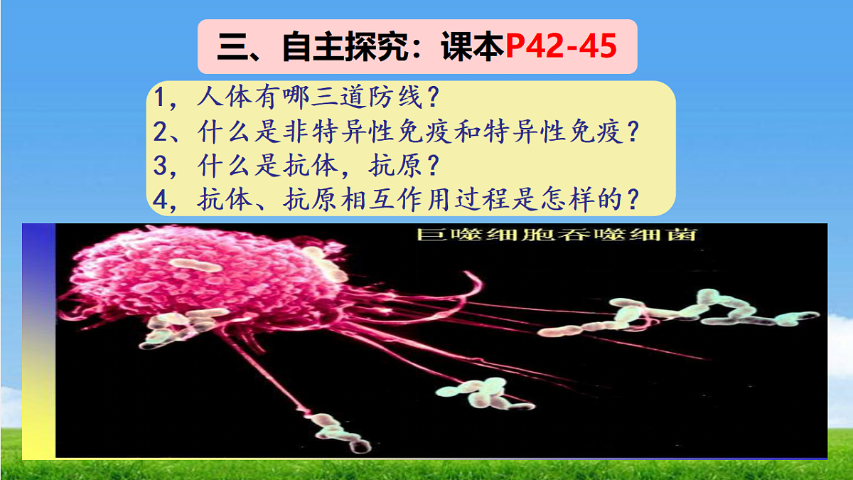 17362551第4页