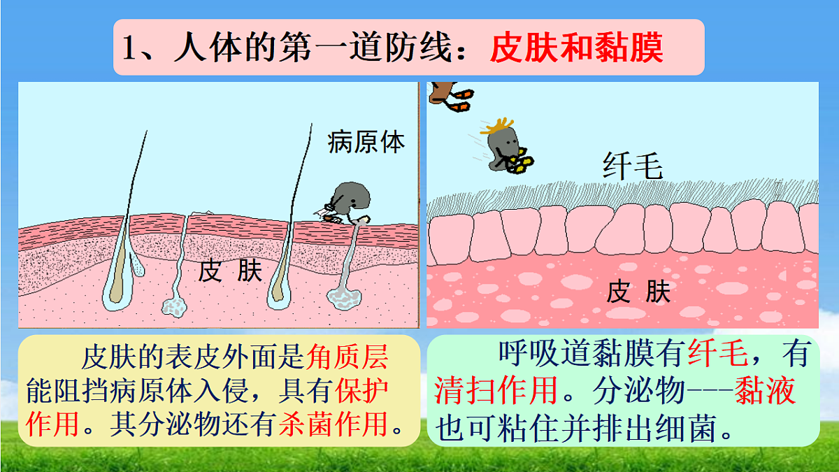 17362551第6页