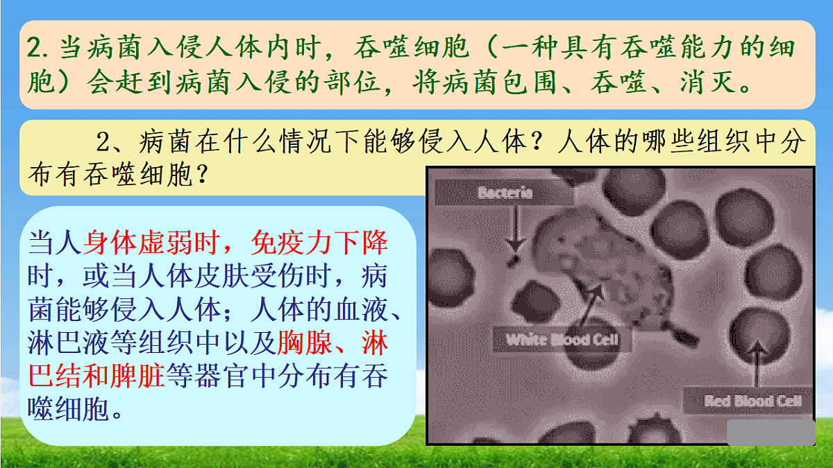 17362551第7页