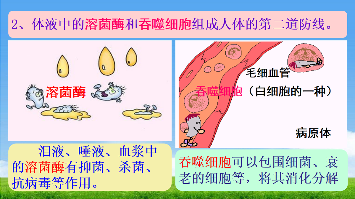 17362551第8页