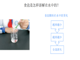 小学科学新大象版二年级上册1.2《水能溶解哪些物质》教学课件（2025秋）