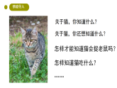 小学科学新大象版二年级上册2.1.猫的生活教学课件（2025秋）