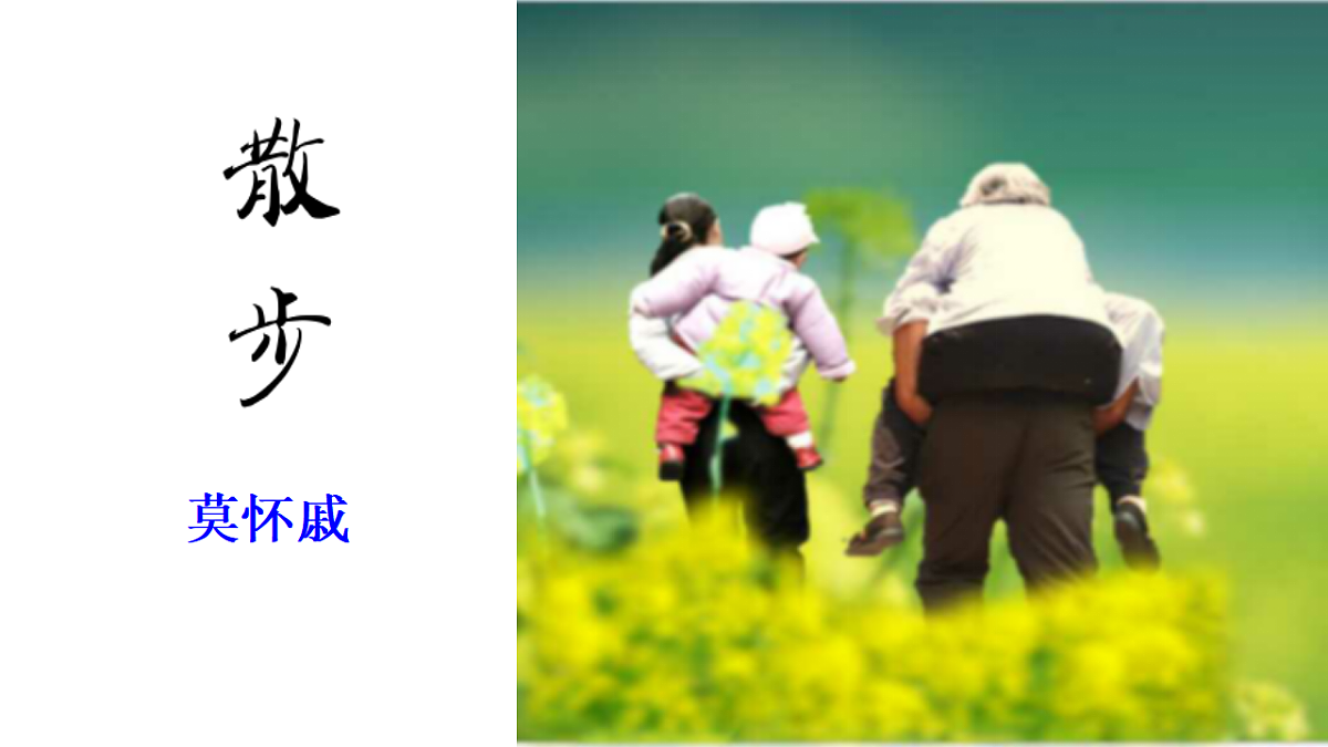 17362918第1页