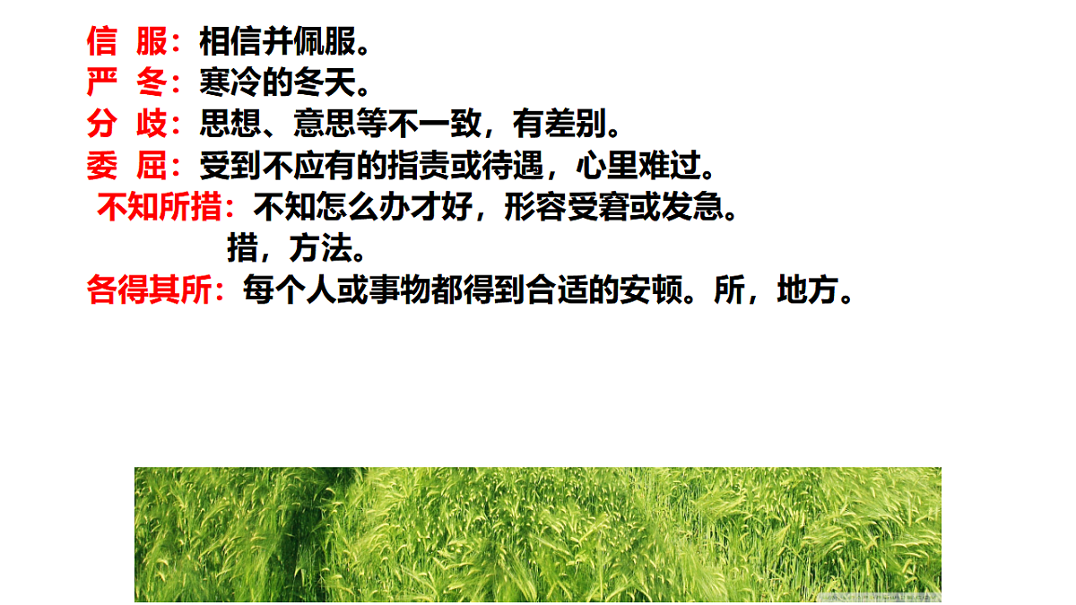 17362918第5页