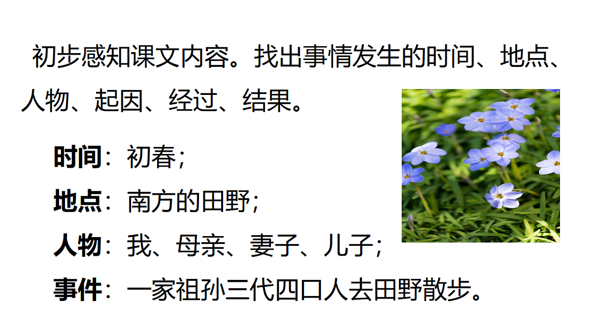 17362918第6页
