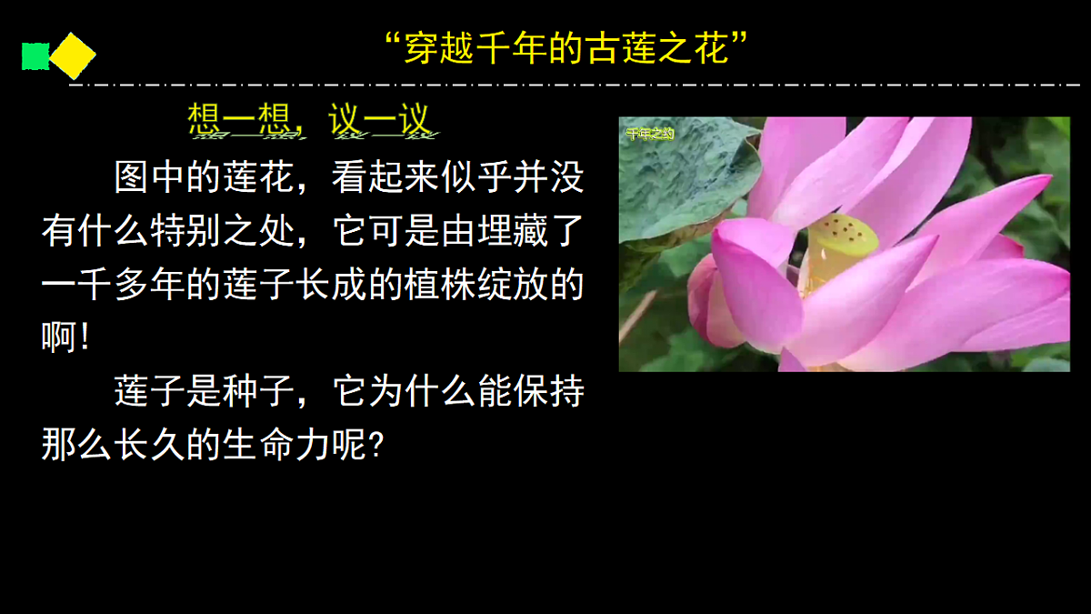 17363834第3页