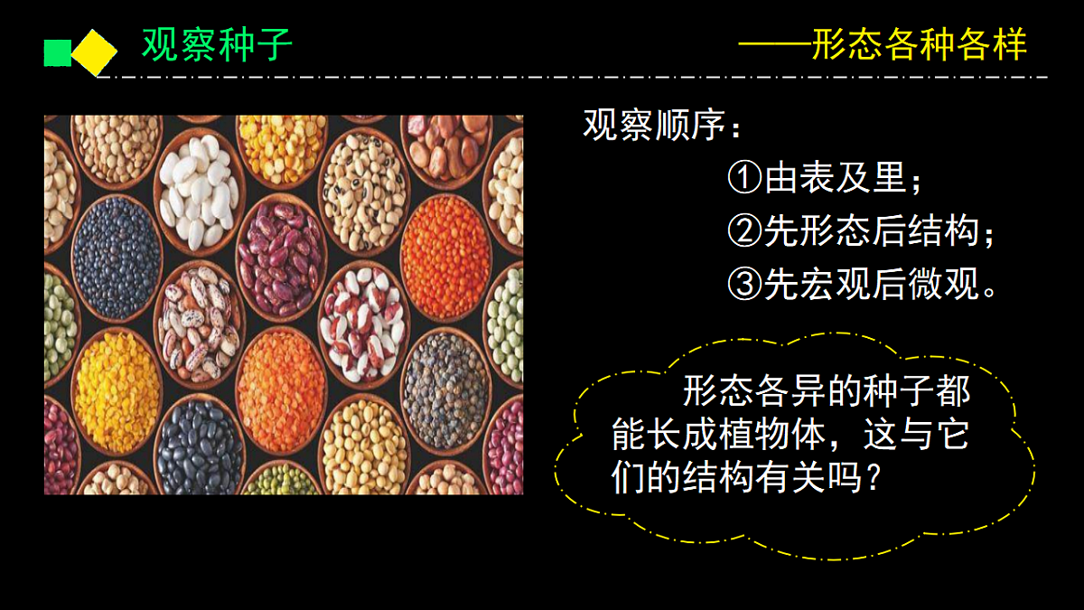 17363834第6页