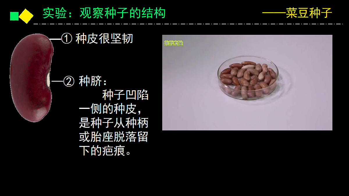 17363834第7页