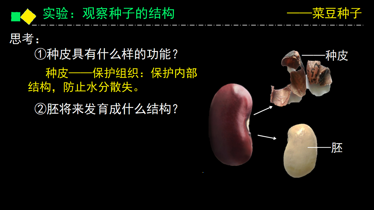 17363834第8页