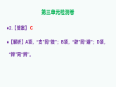 部编版九年级语文下册第三单元检测卷（原卷版+解析版）A3+答案解析PPT