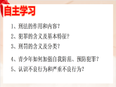 新人教部编版初中道法八上2-5-2《预防犯罪》课件