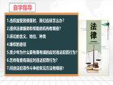 新人教部编版初中道法八上2-5-3善用法律 课件