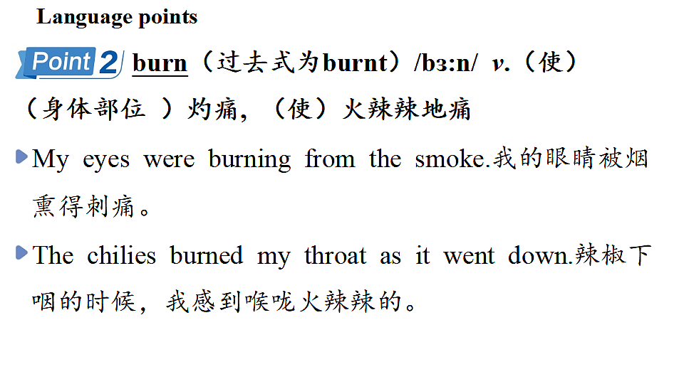 1.Understanding ideas第8页