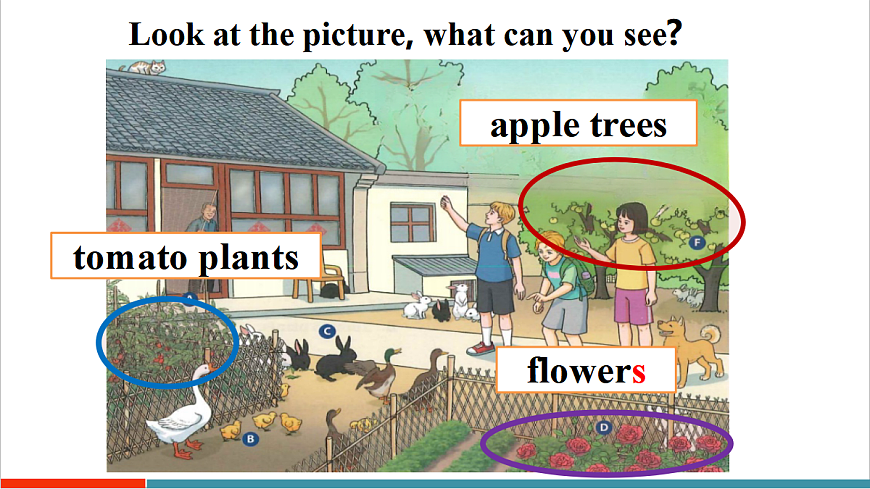 第1课时（Section A 1a-2d）第7页