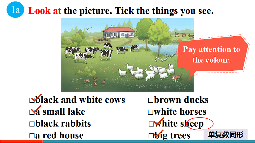 第3课时（Section B 1a-1e）第6页