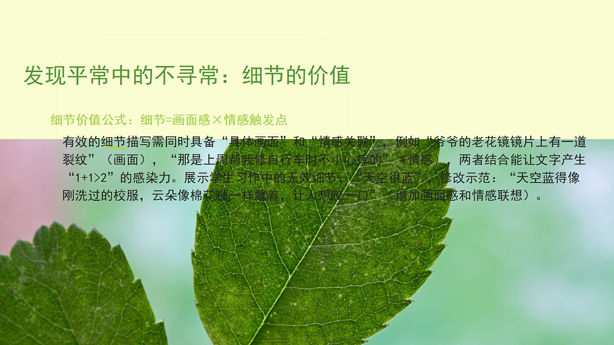 17365294第8页