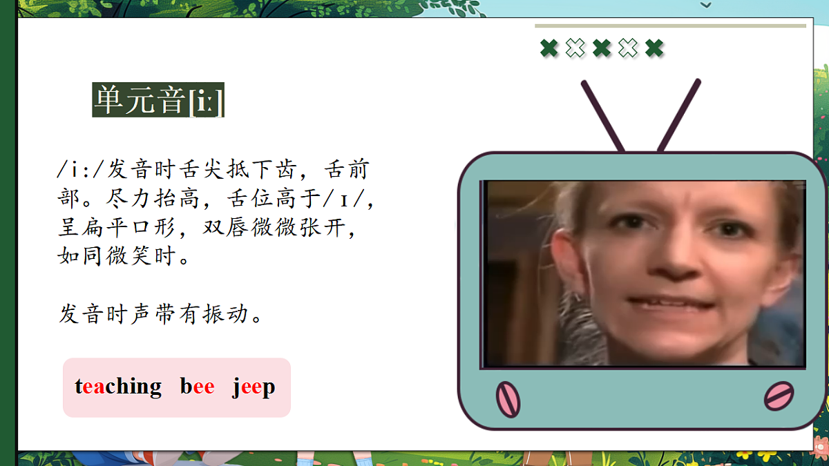 17365303第8页