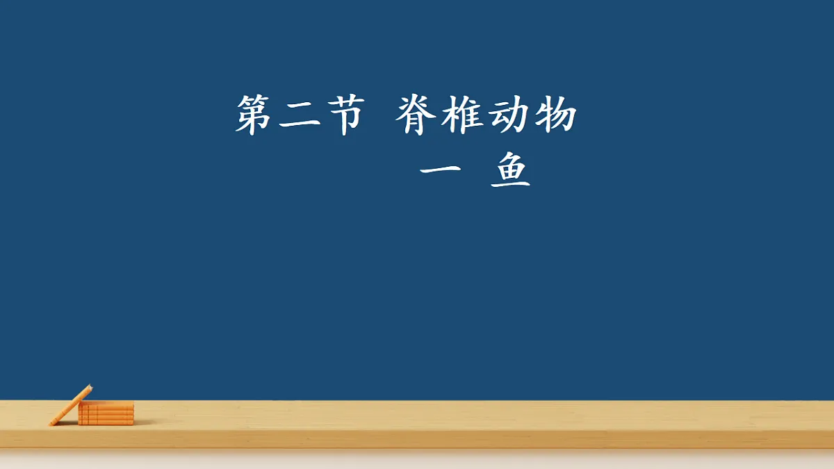 17365507第1页