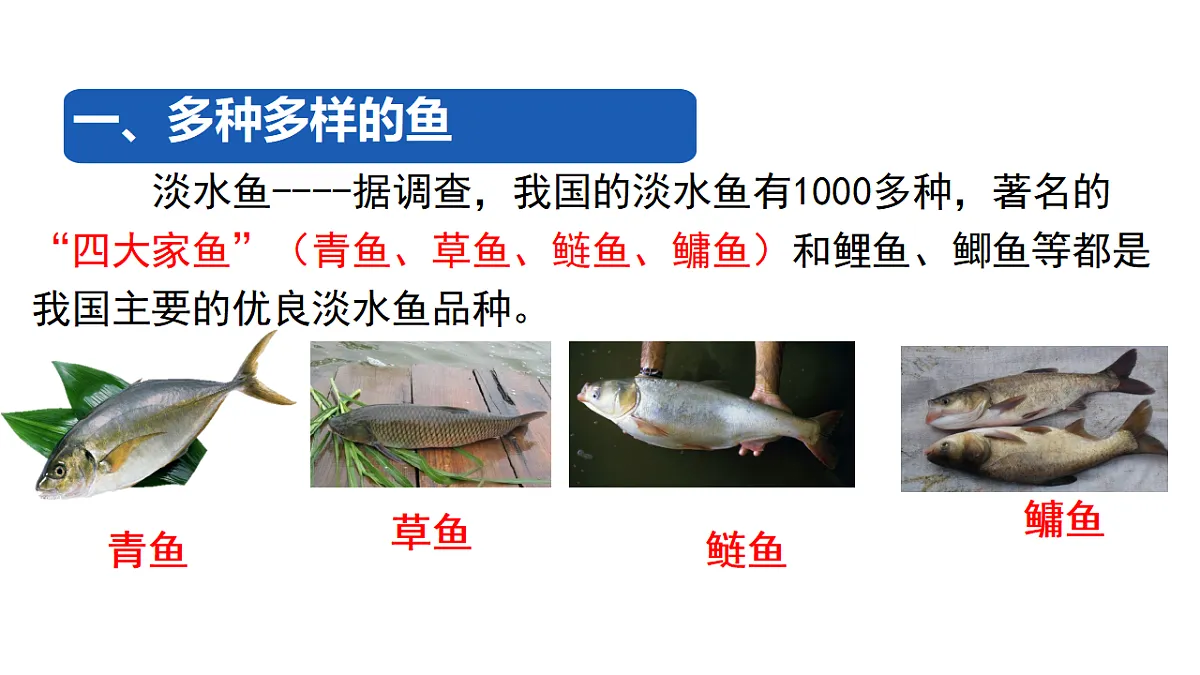17365507第4页