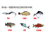 初中  生物  人教版（2024）  七年级上册2.2.2.1鱼 课件