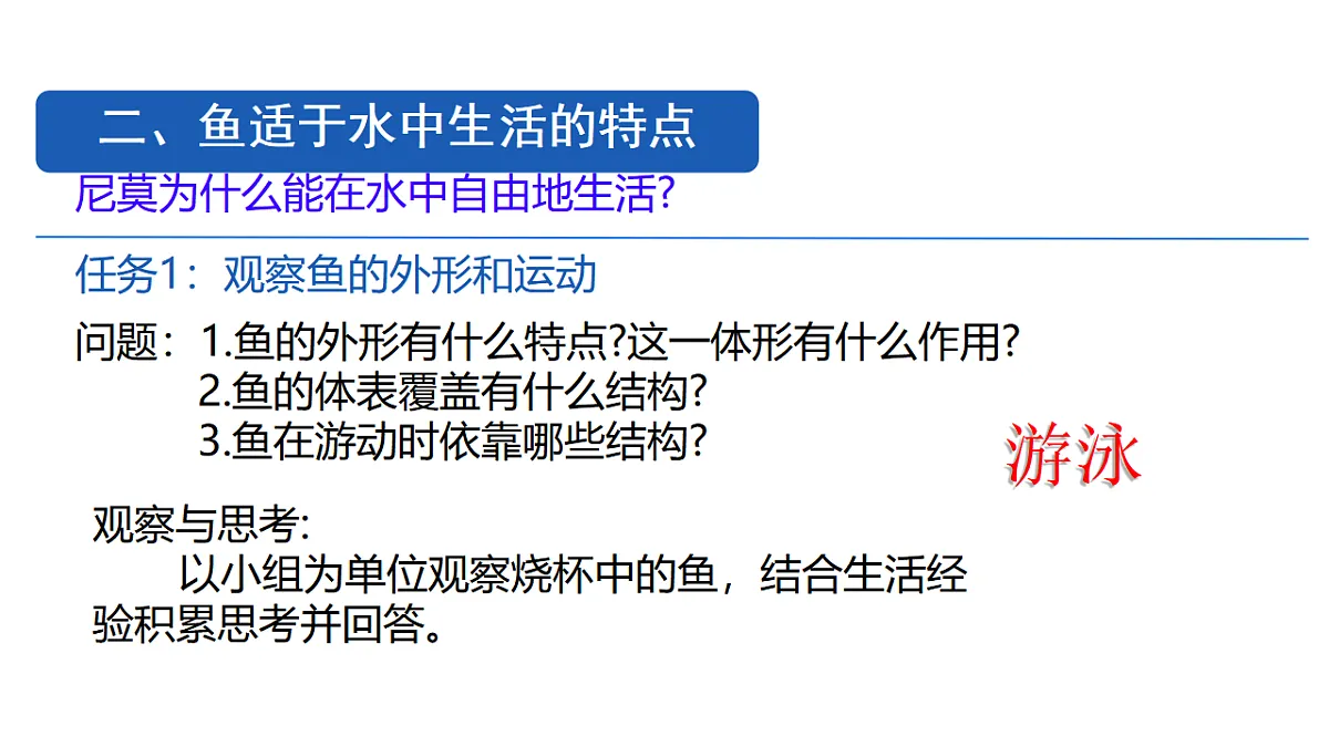 17365507第6页