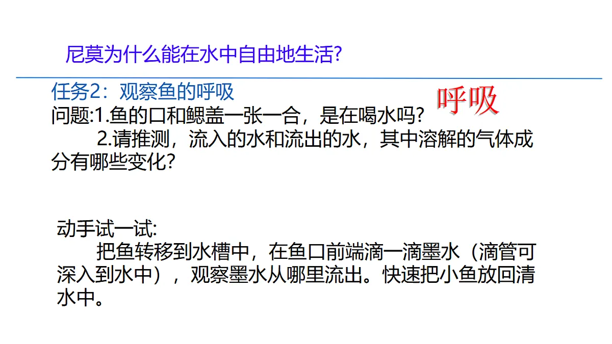 17365507第7页
